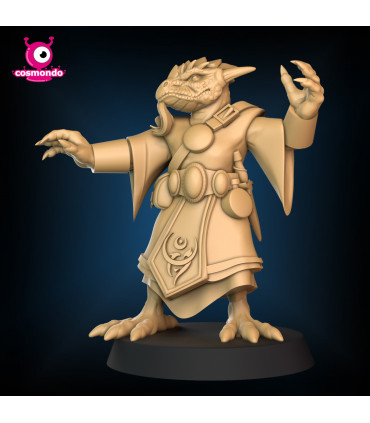 Dragonborn Wizard for Fantasy RPG + Riding Version - STL Files