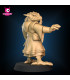 Dragonborn Wizard for Fantasy RPG + Riding Version - STL Files