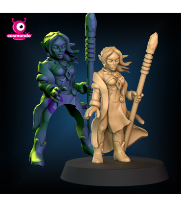 Elf Wizard for Fantasy RPG + Riding Version - STL Files