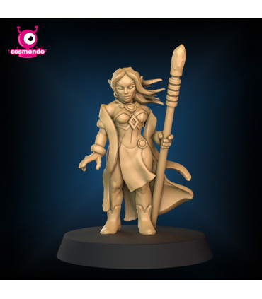 Elf Wizard for Fantasy RPG + Riding Version - STL Files