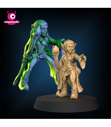 Gnome Wizard for Fantasy RPG + Riding Version - STL Files
