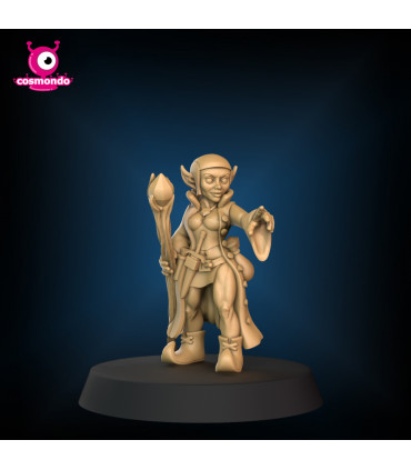 Gnome Wizard for Fantasy RPG + Riding Version - STL Files